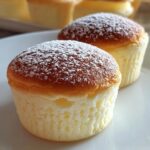 Fluffy Japanese Cotton Cheesecake